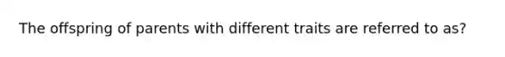 The offspring of parents with different traits are referred to as?