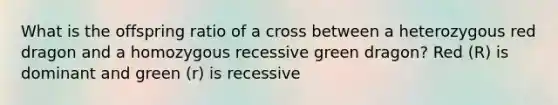 What is the offspring ratio of a cross between a heterozygous red dragon and a homozygous recessive green dragon? Red (R) is dominant and green (r) is recessive