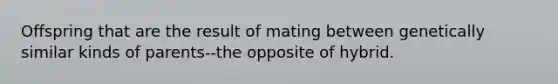 Offspring that are the result of mating between genetically similar kinds of parents--the opposite of hybrid.