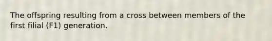 The offspring resulting from a cross between members of the first filial (F1) generation.