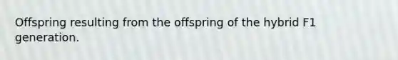 Offspring resulting from the offspring of the hybrid F1 generation.