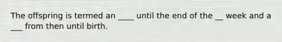 The offspring is termed an ____ until the end of the __ week and a ___ from then until birth.