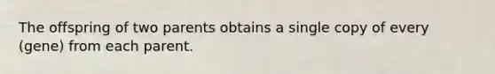 The offspring of two parents obtains a single copy of every (gene) from each parent.
