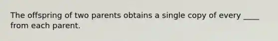 The offspring of two parents obtains a single copy of every ____ from each parent.