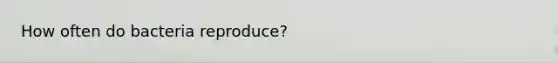 How often do bacteria reproduce?