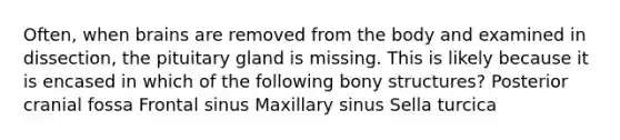 Often, when brains are removed from the body and examined in dissection, the pituitary gland is missing. This is likely because it is encased in which of the following bony structures? Posterior cranial fossa Frontal sinus Maxillary sinus Sella turcica