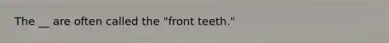 The __ are often called the "front teeth."