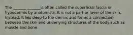 The _______ _______is often called the superficial fascia or hypodermis by anatomists. It is not a part or layer of the skin. Instead, it lies deep to the dermis and forms a connection between the skin and underlying structures of the body such as muscle and bone.