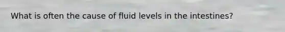 What is often the cause of fluid levels in the intestines?