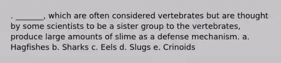 . _______, which are often considered vertebrates but are thought by some scientists to be a sister group to the vertebrates, produce large amounts of slime as a defense mechanism. a. Hagfishes b. Sharks c. Eels d. Slugs e. Crinoids