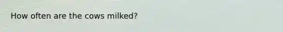 How often are the cows milked?