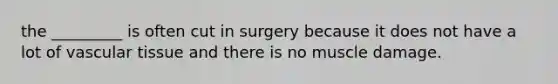 the _________ is often cut in surgery because it does not have a lot of vascular tissue and there is no muscle damage.