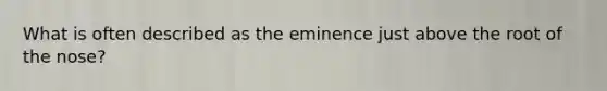 What is often described as the eminence just above the root of the nose?