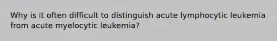 Why is it often difficult to distinguish acute lymphocytic leukemia from acute myelocytic leukemia?