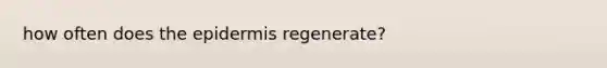 how often does the epidermis regenerate?