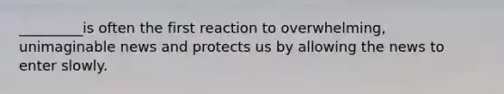 _________is often the first reaction to overwhelming, unimaginable news and protects us by allowing the news to enter slowly.