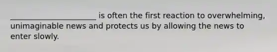 ______________________ is often the first reaction to overwhelming, unimaginable news and protects us by allowing the news to enter slowly.