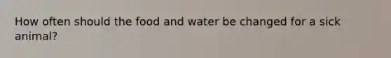 How often should the food and water be changed for a sick animal?