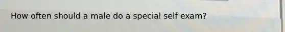 How often should a male do a special self exam?