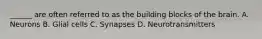 ______ are often referred to as the building blocks of the brain. A. Neurons B. Glial cells C. Synapses D. Neurotransmitters