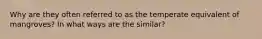 Why are they often referred to as the temperate equivalent of mangroves? In what ways are the similar?