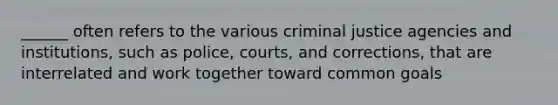 ______ often refers to the various criminal justice agencies and institutions, such as police, courts, and corrections, that are interrelated and work together toward common goals