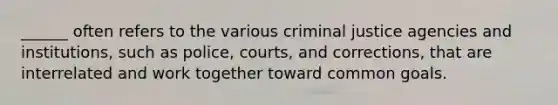 ______ often refers to the various criminal justice agencies and institutions, such as police, courts, and corrections, that are interrelated and work together toward common goals.