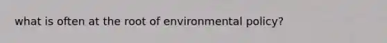 what is often at the root of environmental policy?