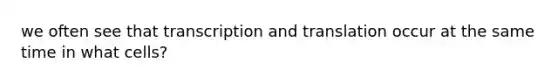 we often see that transcription and translation occur at the same time in what cells?