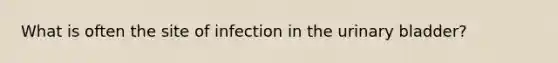 What is often the site of infection in the urinary bladder?