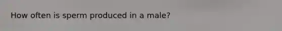 How often is sperm produced in a male?