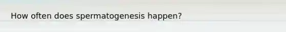 How often does spermatogenesis happen?