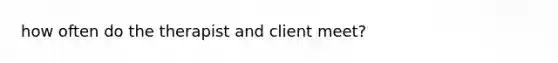 how often do the therapist and client meet?