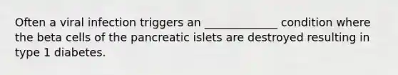 Often a viral infection triggers an _____________ condition where the beta cells of the pancreatic islets are destroyed resulting in type 1 diabetes.