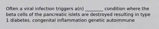 Often a viral infection triggers a(n) ________ condition where the beta cells of the pancreatic islets are destroyed resulting in type 1 diabetes. congenital inflammation genetic autoimmune