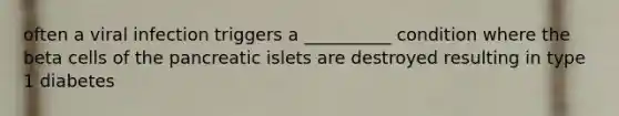 often a viral infection triggers a __________ condition where the beta cells of the pancreatic islets are destroyed resulting in type 1 diabetes