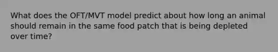 What does the OFT/MVT model predict about how long an animal should remain in the same food patch that is being depleted over time?