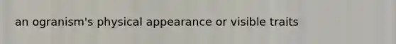 an ogranism's physical appearance or visible traits