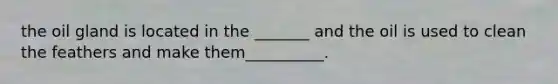 the oil gland is located in the _______ and the oil is used to clean the feathers and make them__________.