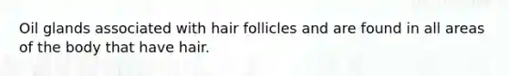 Oil glands associated with hair follicles and are found in all areas of the body that have hair.