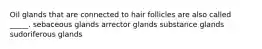 Oil glands that are connected to hair follicles are also called _____. sebaceous glands arrector glands substance glands sudoriferous glands