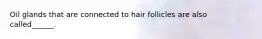 Oil glands that are connected to hair follicles are also called______.