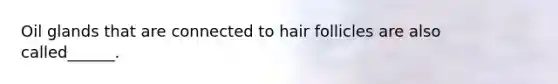 Oil glands that are connected to hair follicles are also called______.