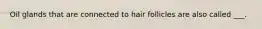 Oil glands that are connected to hair follicles are also called ___.