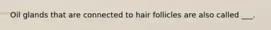 Oil glands that are connected to hair follicles are also called ___.