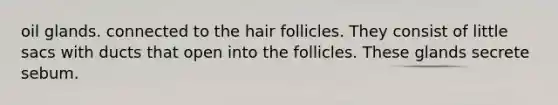 oil glands. connected to the hair follicles. They consist of little sacs with ducts that open into the follicles. These glands secrete sebum.