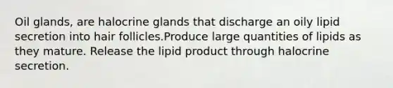 Oil glands, are halocrine glands that discharge an oily lipid secretion into hair follicles.Produce large quantities of lipids as they mature. Release the lipid product through halocrine secretion.