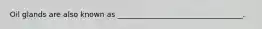 Oil glands are also known as __________________________________.