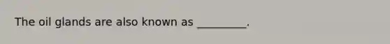 The oil glands are also known as _________.