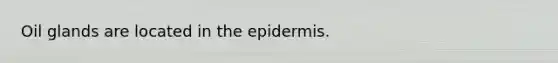 Oil glands are located in the epidermis.